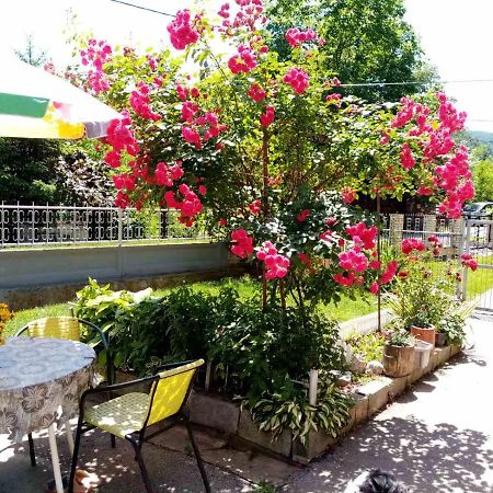 Apartman Vesna Ovcar Banja Extérieur photo