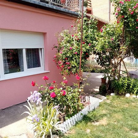 Apartman Vesna Ovcar Banja Extérieur photo