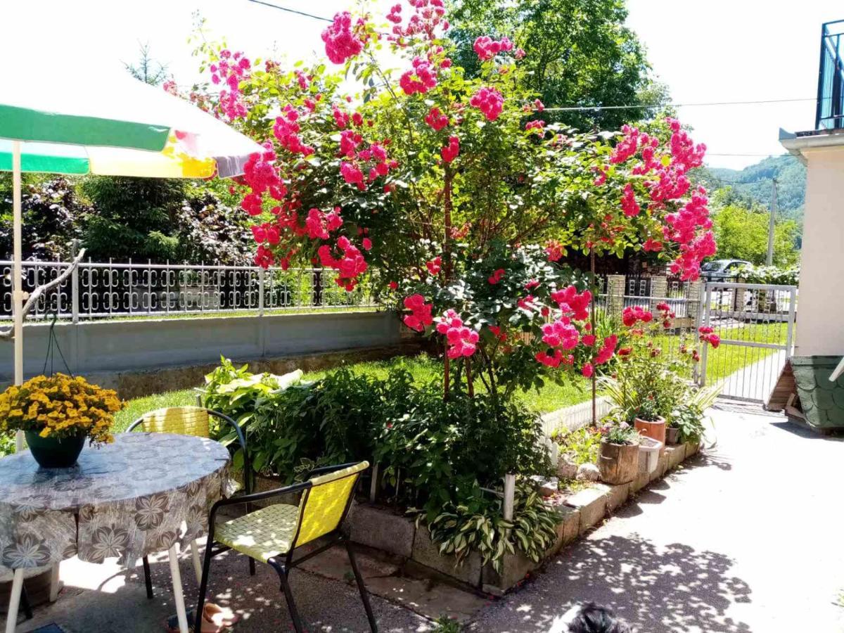 Apartman Vesna Ovcar Banja Extérieur photo