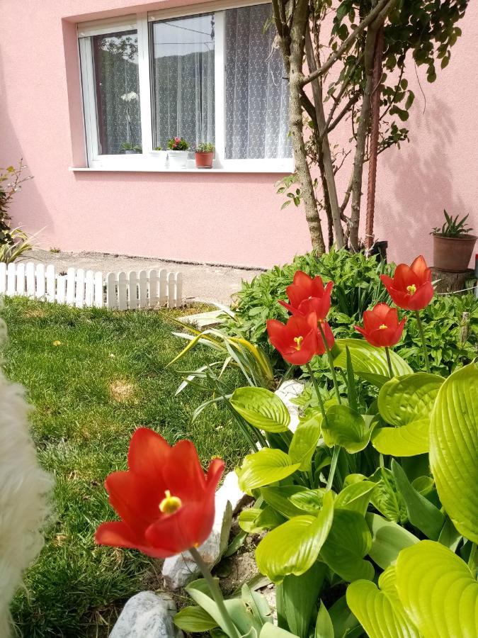 Apartman Vesna Ovcar Banja Extérieur photo