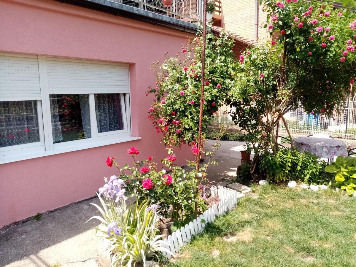 Apartman Vesna Ovcar Banja Extérieur photo