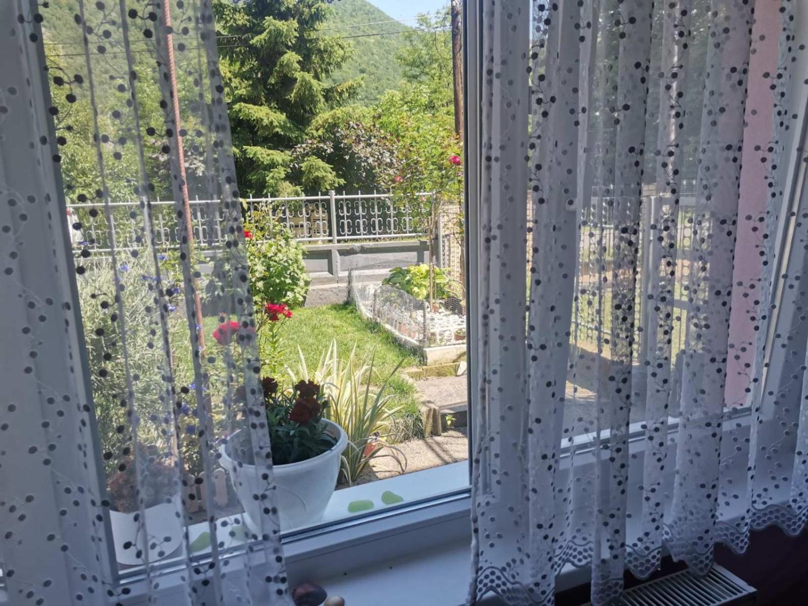 Apartman Vesna Ovcar Banja Extérieur photo