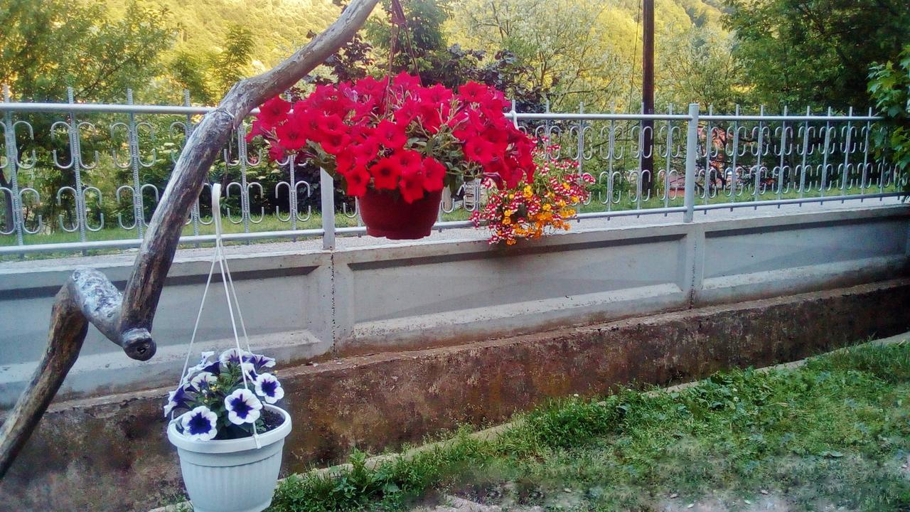 Apartman Vesna Ovcar Banja Extérieur photo